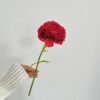 Artificial Carnation Stem