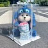 O1CN0187KHwt1zo8On73UWL_2217609546760-0-cib-1 Plush Stitch Doll Bouquet Gift Set