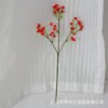 Gypsophila & Starry Mini Flower Stem (Wedding DIY Craft)