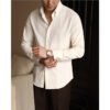Striped Pointed Collar Men's Shirt - Italian-Style Slim Fit Business Shirt