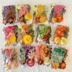 Dried Flower DIY Craft Material Pack