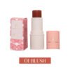YOUNG VISION Multi-Use Makeup Stick - Blush, Highlighter & Contour