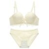 O1CN01aDM8DM2L5B0xu325p_2208395609640-0-cib Embroidered Lace Push-Up Bra Set - Wireless Padded Bra and Briefs