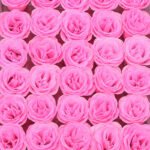 Crystal Acrylic Rose Flower Heads - Glitter Roses for Bouquets and Crafts