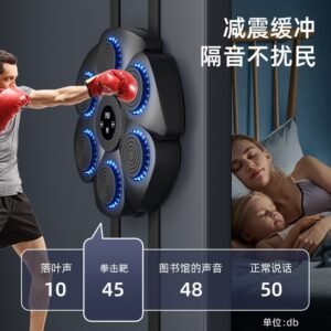 Smart Bluetooth Boxing Wall Target - Music Boxing Machine Training Set