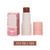 YOUNG VISION Multi-Use Makeup Stick - Blush, Highlighter & Contour