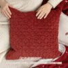 New Year Christmas Embroidered Throw Pillow & Decor Set