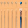 O1CN01jD4JeR2JyTNWIEOio_2200590219490-0-cib Mont Marte Fan & Fishtail Oil Painting Brush Set