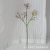 Gypsophila & Starry Mini Flower Stem (Wedding DIY Craft)