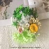 O1CN01lKIzZU2HaXn25Wkv7_2218657339167-0-cib Preserved Dried Flower Craft Box - Decorative Everlasting Flowers