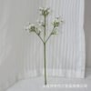Gypsophila & Starry Mini Flower Stem (Wedding DIY Craft)