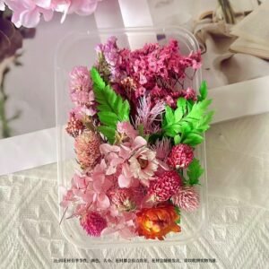 Preserved Dried Flower Craft Box - Decorative Everlasting Flowers