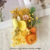 O1CN01sltqED2HaXn2eWG27_2218657339167-0-cib Preserved Dried Flower Craft Box - Decorative Everlasting Flowers