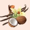 Vanilla Coconut Perfume Spray 50ml, Alcohol-Free, Long-Lasting, Non-Irritating