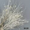 White Preserved Dried Flowers - Wedding & Home Styling Bunches