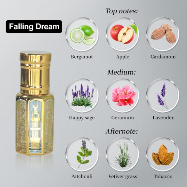 Cross-Border Arabian Perfume Black Edition Dreamfall Woody Fragrance, Long-Lasting, Portable 10ml