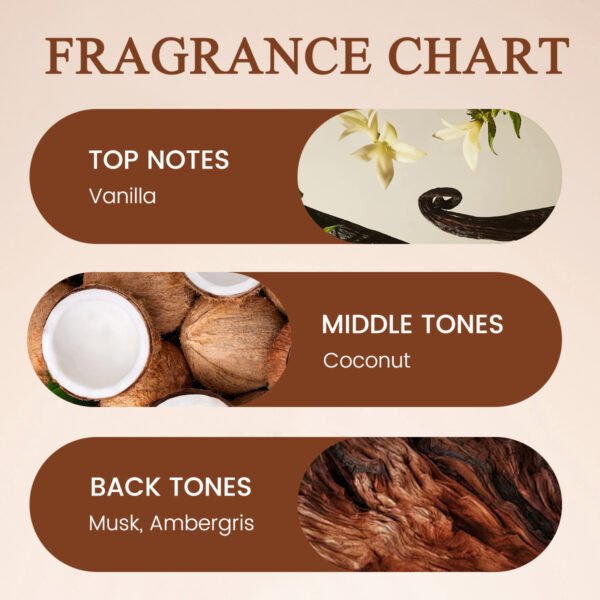 Foreign Trade Vanilla Coconut Gourmet Perfume Roller Ball 10ml, Alcohol-Free, Elegant and Long-Lasting