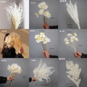 White Preserved Dried Flowers - Wedding & Home Styling Bunches