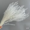 White Preserved Dried Flowers - Wedding & Home Styling Bunches