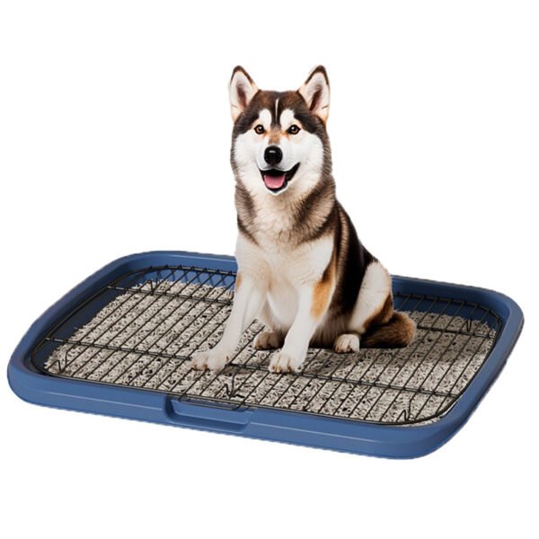 Extra-Large Flat Dog Toilet, Anti-Pee Splash, Washable, Anti-Trampling, Suitable for Small, Medium, and Large Dogs