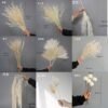 White Preserved Dried Flowers - Wedding & Home Styling Bunches