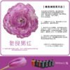 Fresh Flower Absorption Dye - 300ml Florist Colour Change