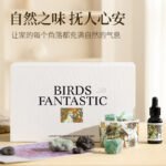 Pafilan Aromatherapy Diffuser Stone Two-Piece Set with Essential Oil