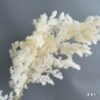 White Preserved Dried Flowers - Wedding & Home Styling Bunches
