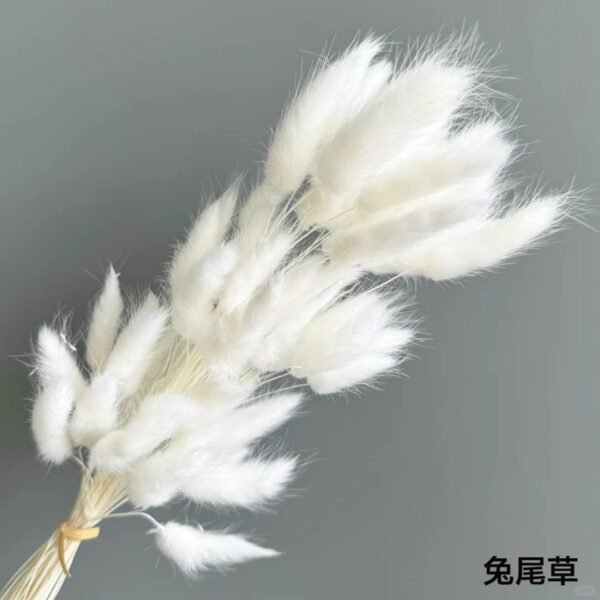 White Preserved Dried Flowers - Wedding & Home Styling Bunches