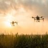 DJI T60 Agricultural Drone - Heavy-Duty Fully Automatic Plant Protection UAV for Fruit Tree Spraying