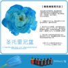 Fresh Flower Absorption Dye - 300ml Florist Colour Change