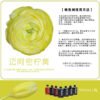 Fresh Flower Absorption Dye - 300ml Florist Colour Change