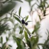 Artificial Pieris Tree - Faux Lily of the Valley Shrub Floor Plant
