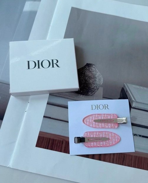 Dior Style Hair Clip Set