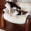 Sofa Chair, Antique Style B&B Fabric Lazy Sofa Chair, Designer Single Lamb Velvet Solid Wood Sofa