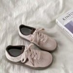 Women's Women's Platform 2025 Summer New Breathable All-match Low-top Shoes Super Popular Retro Casual Sports Sneakers