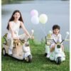 Kids Electric Ride-On Three-Wheel Motorcycle, Two-Seater, Rechargeable with Remote Control